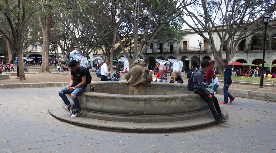 Pocos y abandonados, los parques y jardines urbanos de Oaxaca