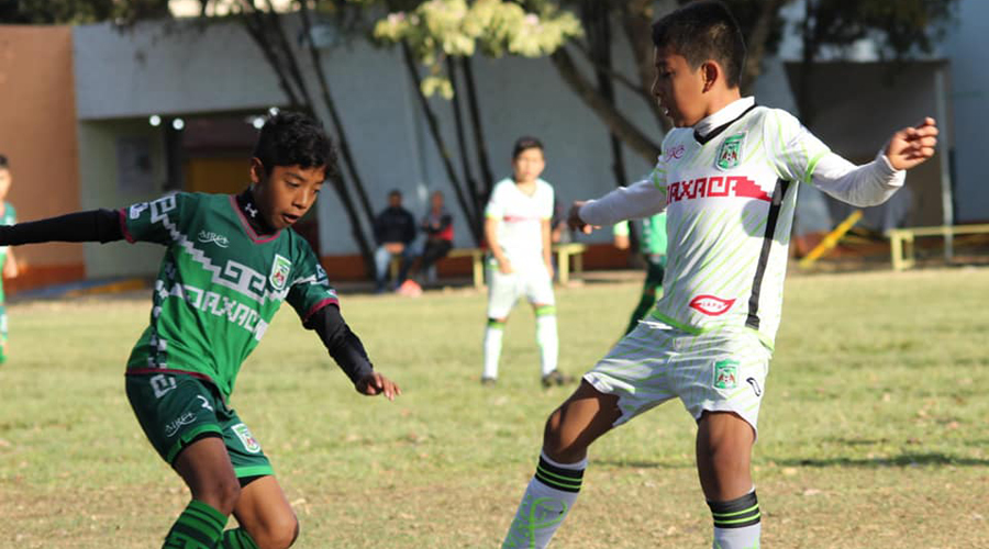 Boxeo y voleibol oaxaqueños, rumbo a los Juegos Conade