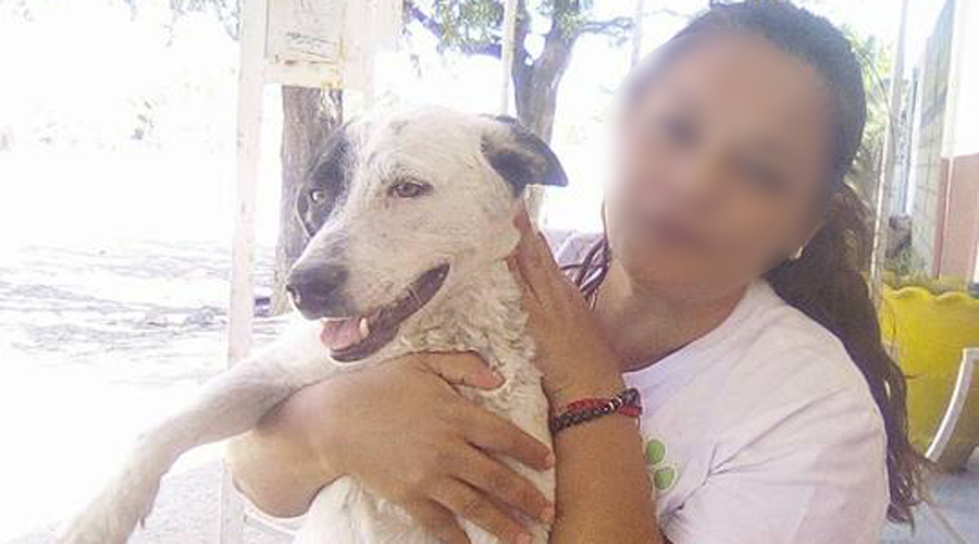 Autoridades del Istmo hacen caso omiso en programas para atención de animales | El Imparcial de Oaxaca