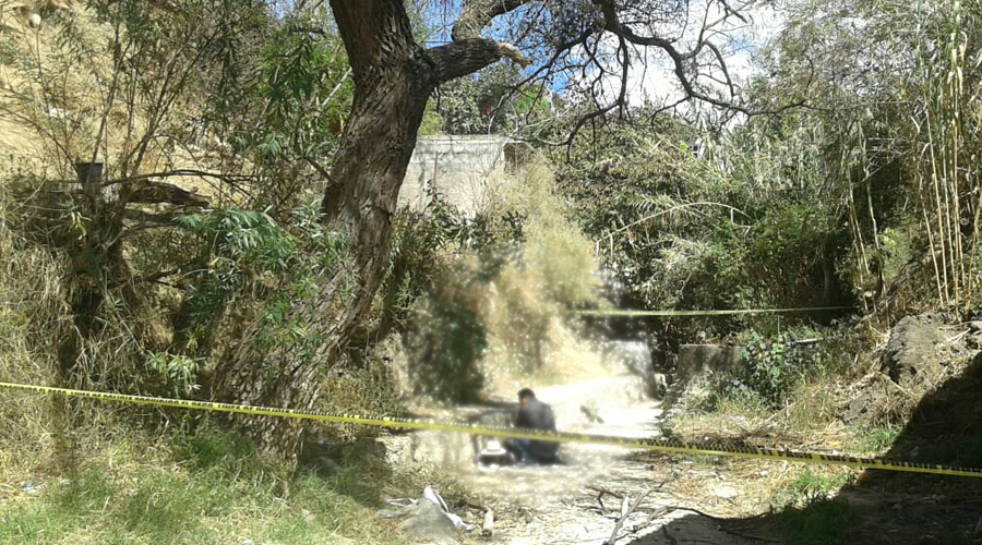 Joven muere al caer de un árbol en la colonia La Soledad de Oaxaca