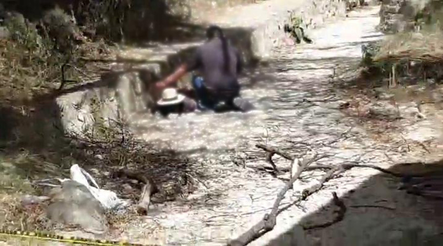 Joven muere al caer de un árbol en la colonia La Soledad de Oaxaca