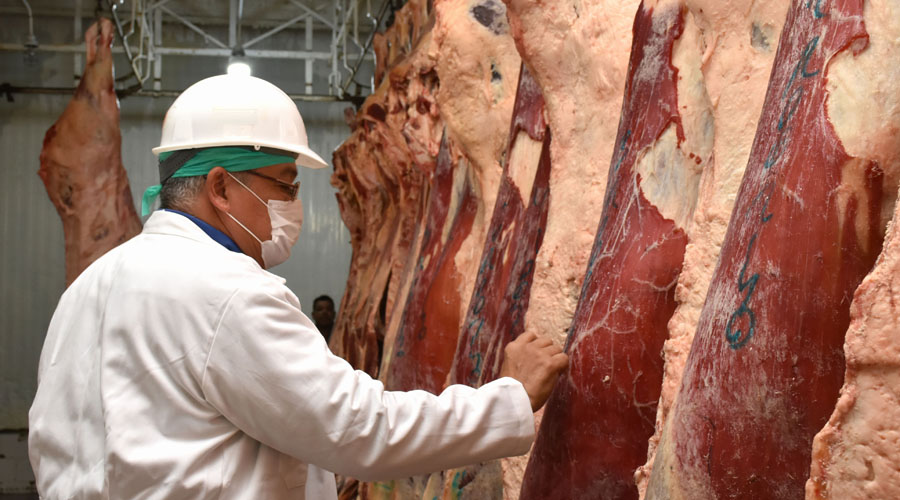 Demanda china de carne de res mexicana aumentaría más de 40 % a consecuencia del virus | El Imparcial de Oaxaca