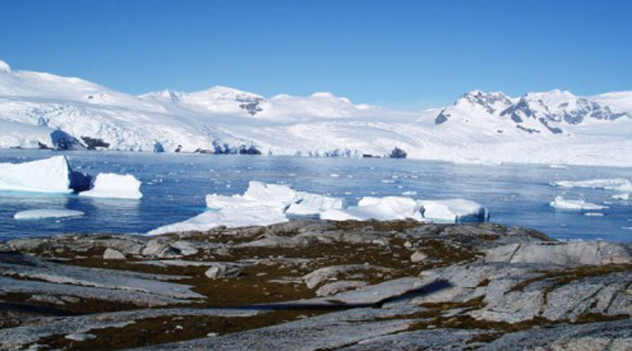 Temperaturas antárticas son “preocupantes”, por acción humana o no, dice biofísico brasileño | El Imparcial de Oaxaca