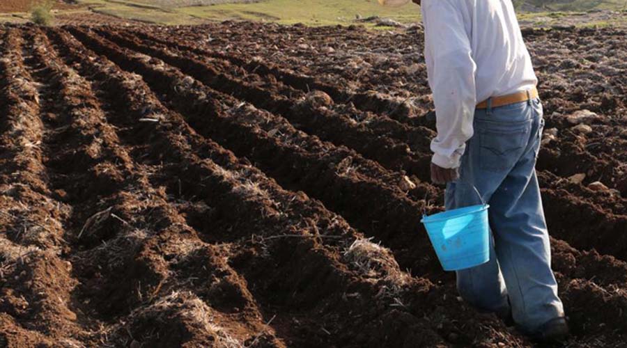 Urge una nueva Ley Agraria para hacer producir el campo en Oaxaca | El Imparcial de Oaxaca