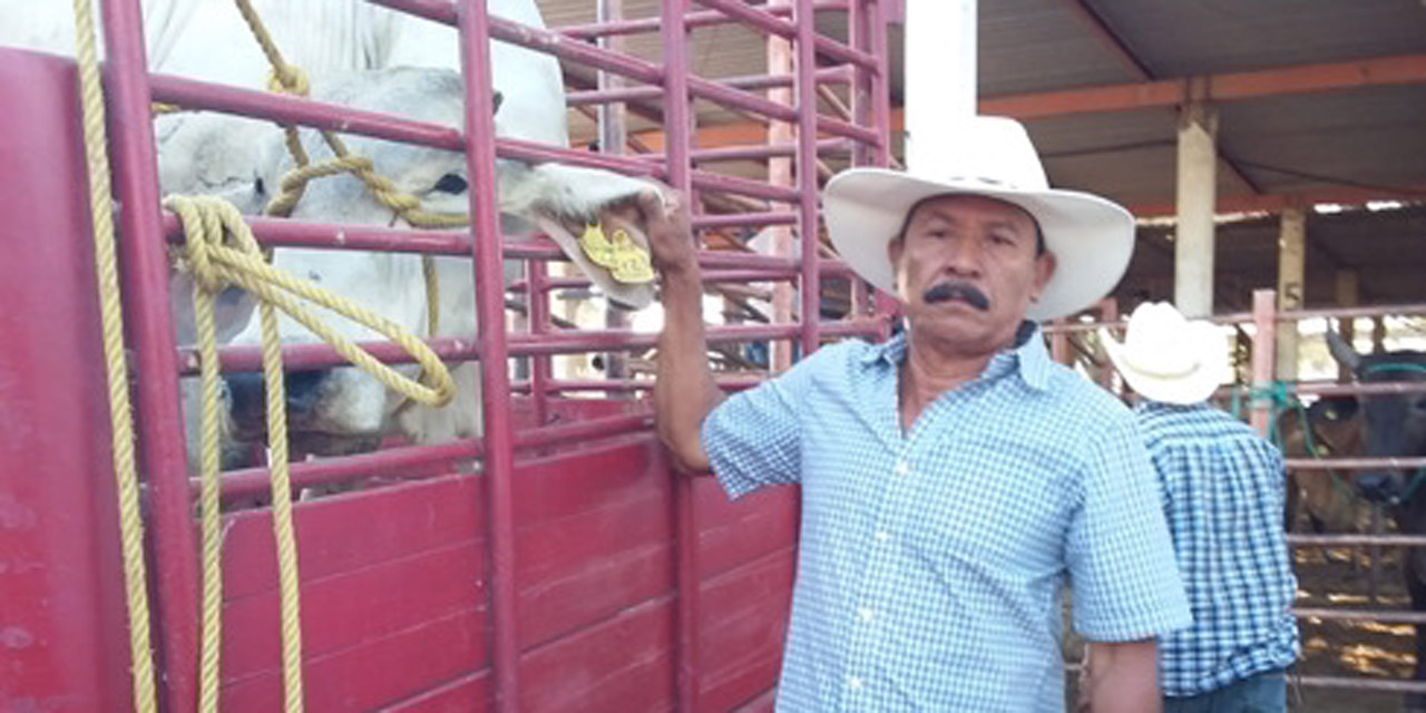 Entregan sementales de registro a ganaderos independientes de la Costa de Oaxaca