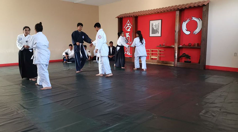 Alistan Seminario de Aikido | El Imparcial de Oaxaca