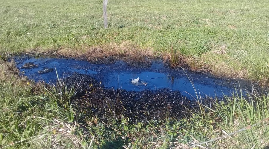 Derrame de hidrocarburo en un rancho de Mogoñé | El Imparcial de Oaxaca