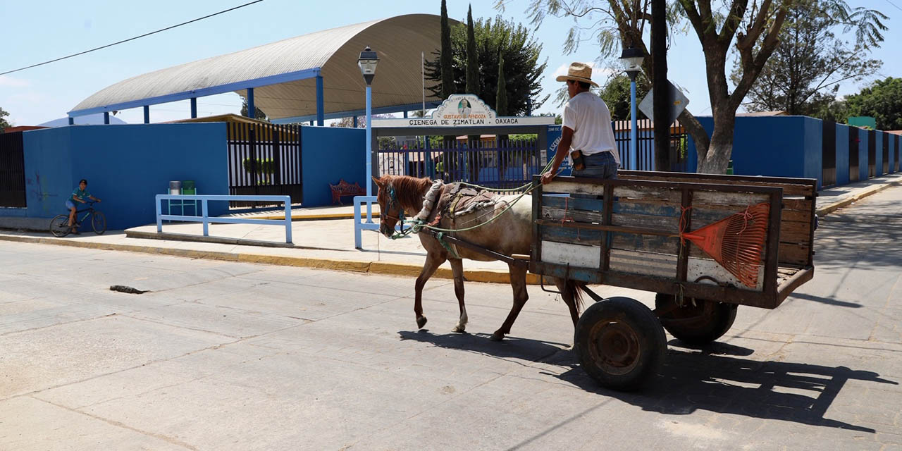 Coronavirus provoca circo en el Congreso