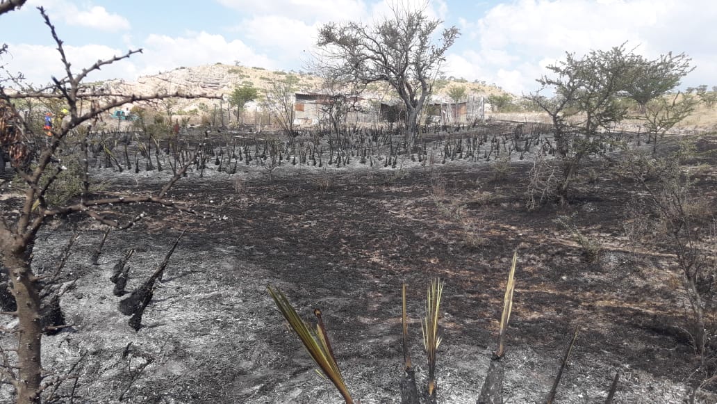 Incendios forestales en Huajuapan son provocados: PC | El Imparcial de Oaxaca
