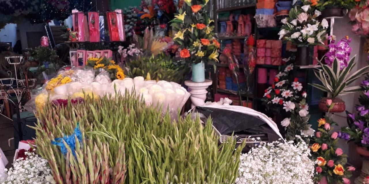 Floristas reportan pérdidas en Huajuapan por contingencia | El Imparcial de Oaxaca