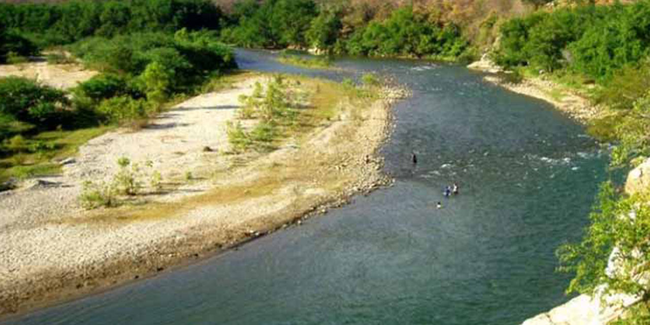 Investigan muerte de peces en río Copalita | El Imparcial de Oaxaca