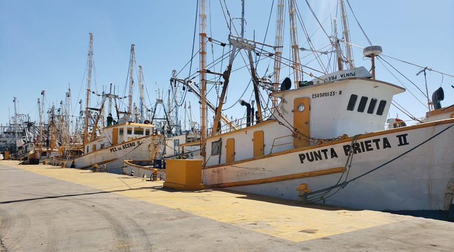 Urge atender al sector pesquero: Anselmo López