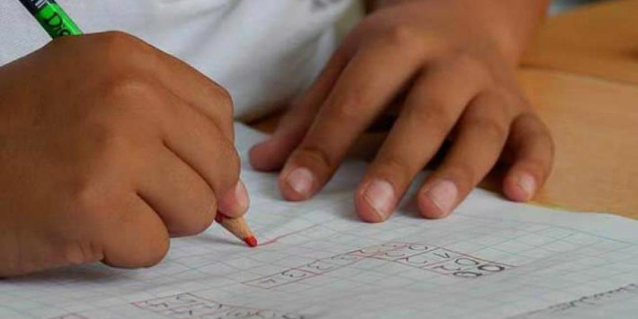 Asesorías particulares y profesores  jubilados al rescate de niños y niñas de Oaxaca
