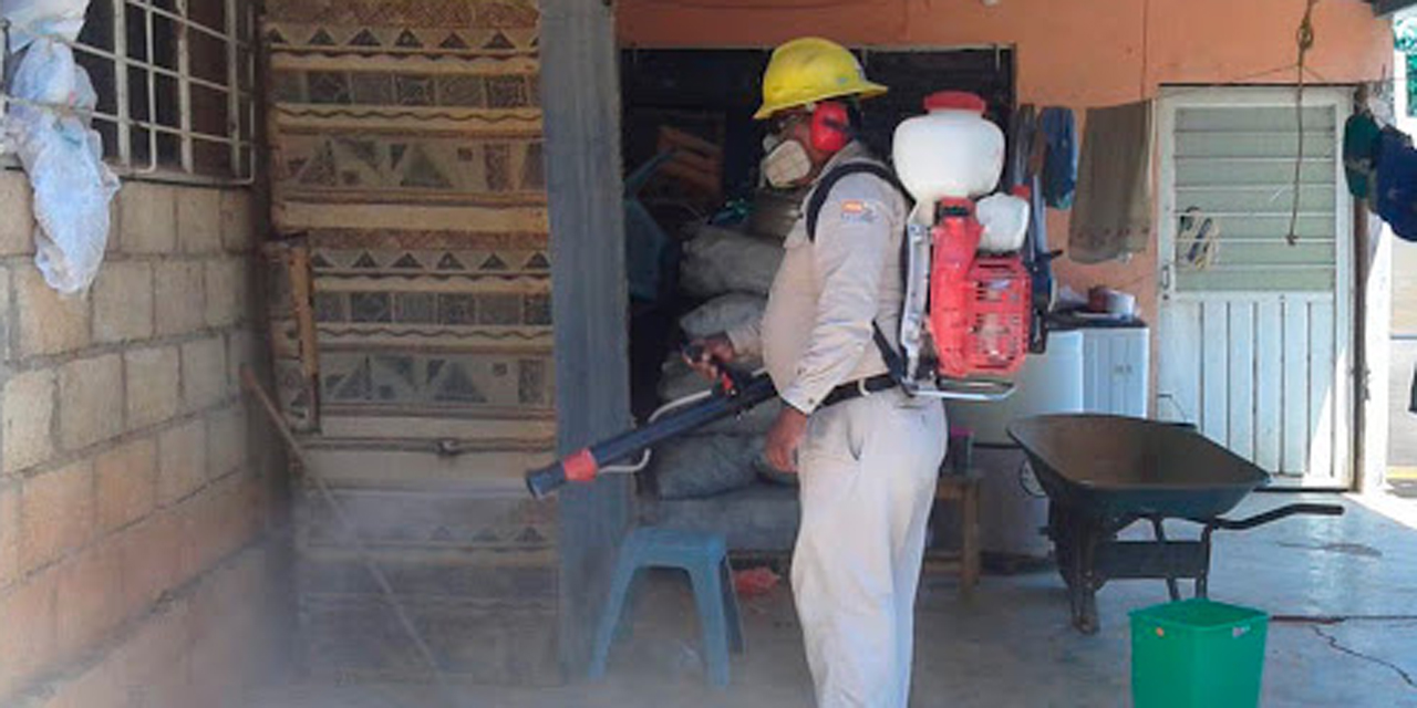 Piden aprovechar confinamiento para evitar dengue y zika en Huajuapan | El Imparcial de Oaxaca