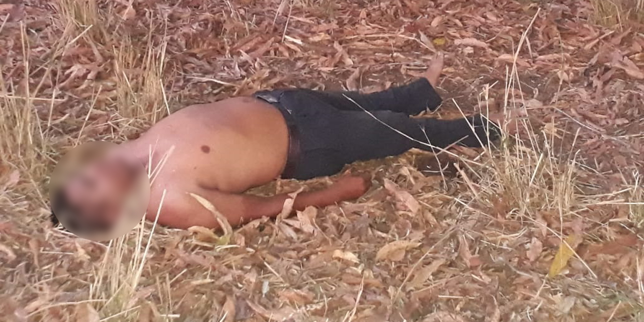 Muere hombre al caer de un árbol en Pinotepa Nacional | El Imparcial de Oaxaca