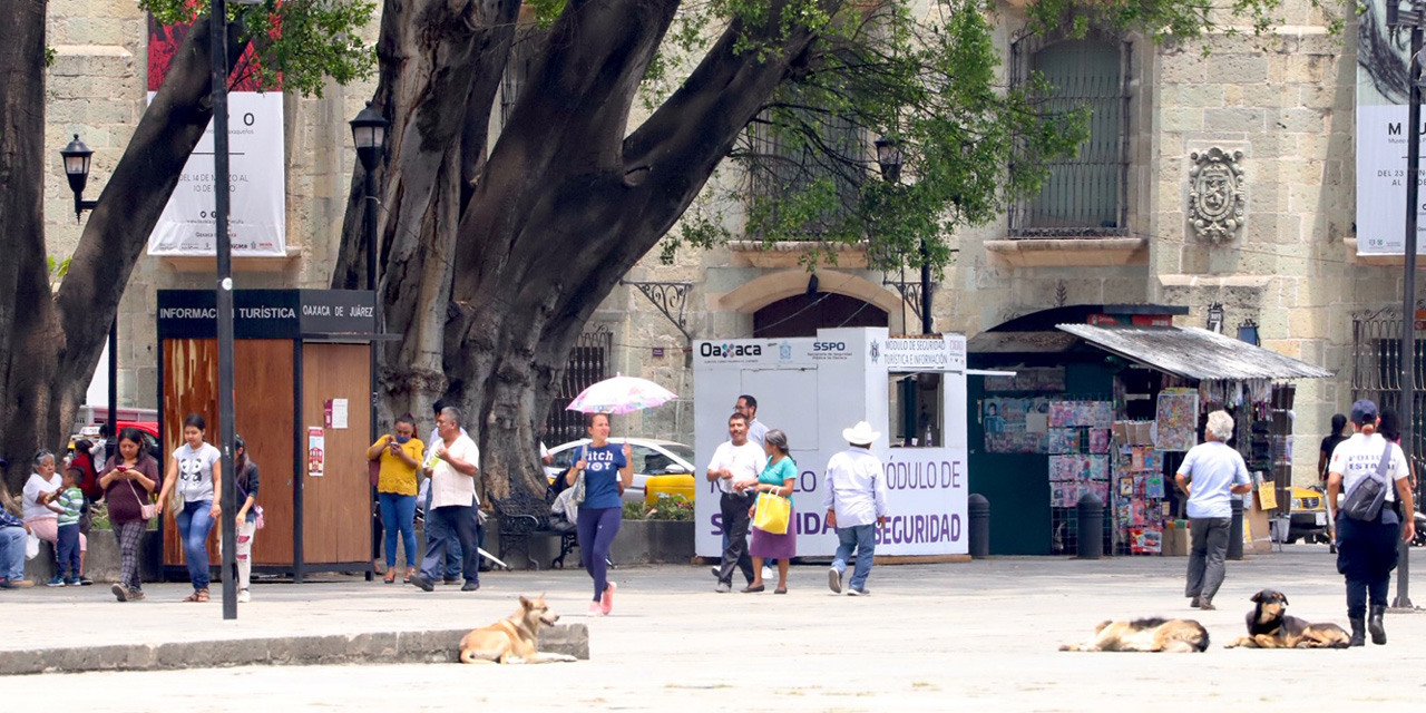 Incumplen oaxaqueños con el “quédate en casa” | El Imparcial de Oaxaca