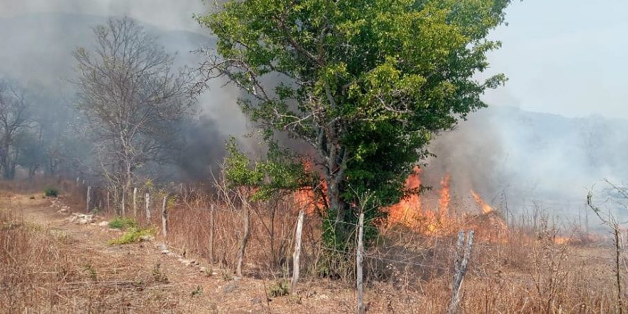 Aumentan incendios forestales en zona Chontal | El Imparcial de Oaxaca