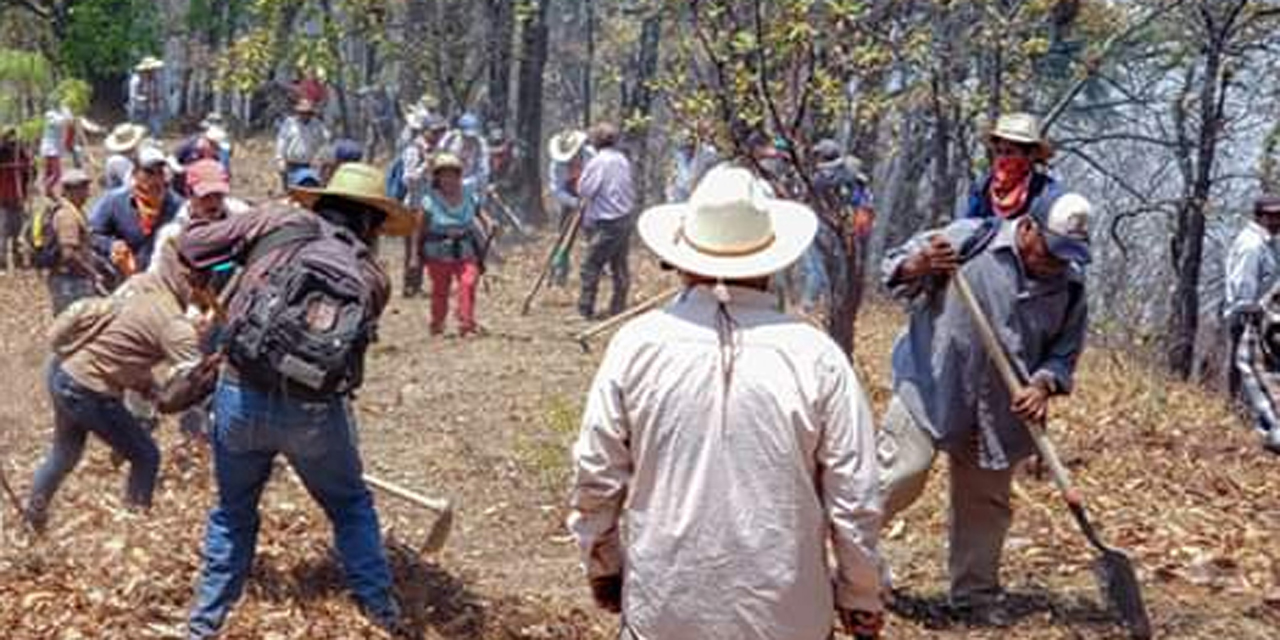 Activos 12 incendios forestales en Oaxaca