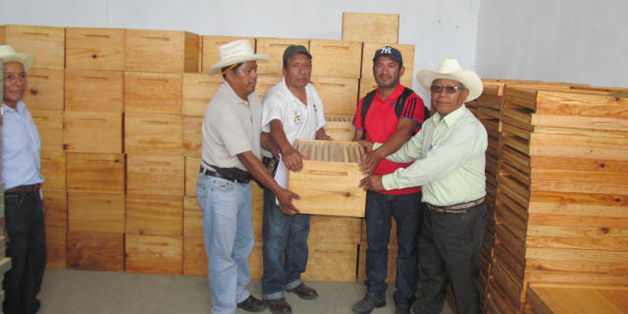 Reciben utensilios, 78 apicultores mazatecos | El Imparcial de Oaxaca