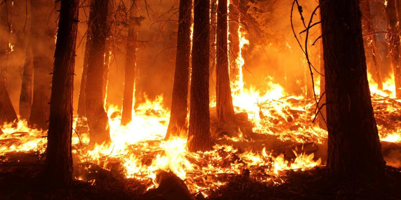 Arde la Sierra Sur de Oaxaca; el incendio lleva ya tres días | El Imparcial de Oaxaca