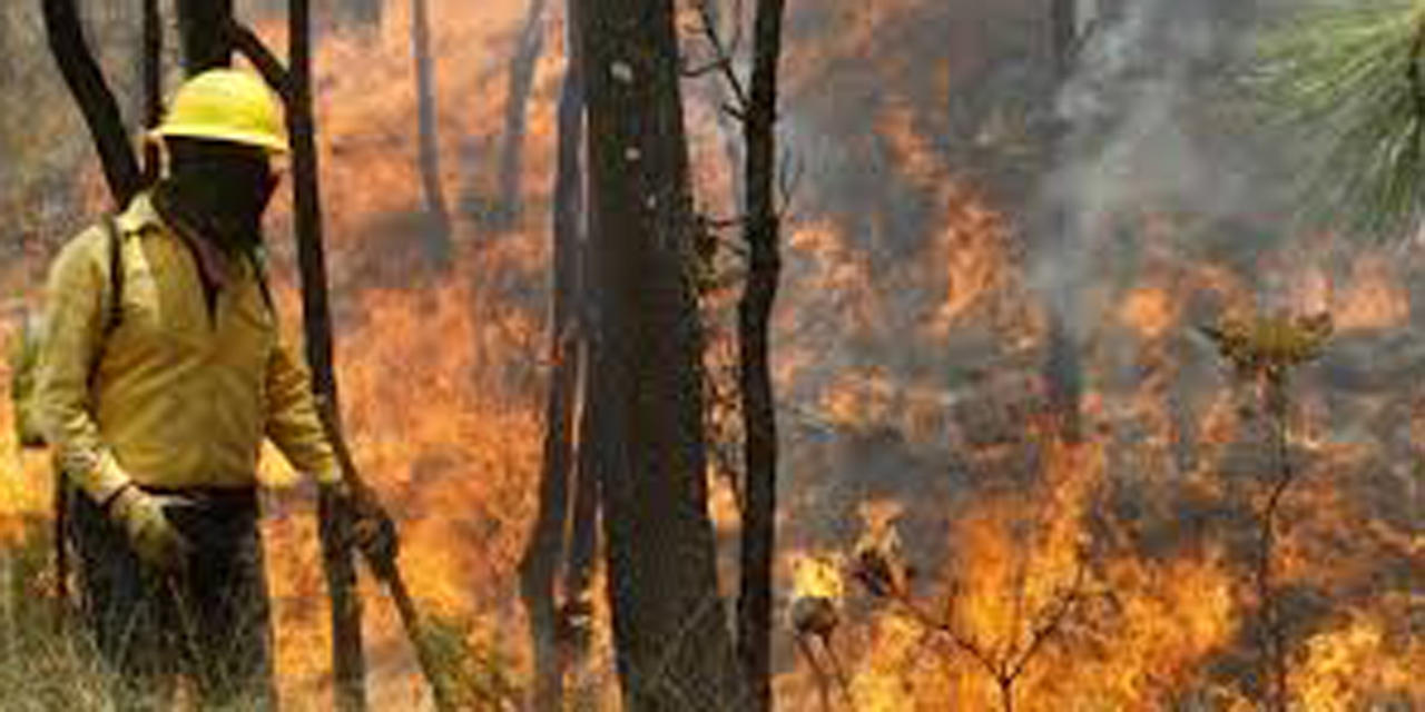 Conafor alerta sobre más incendios forestales | El Imparcial de Oaxaca