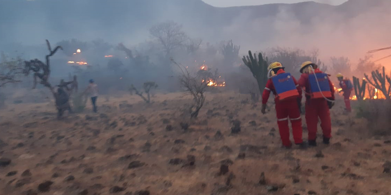 Incendio en Huajuapan arrasa con más de 15 hectáreas | El Imparcial de Oaxaca