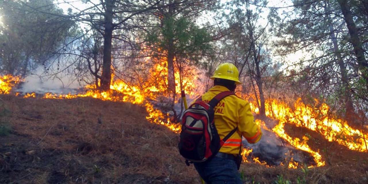 Reportan 32 incendios forestales en México; no representan peligro | El Imparcial de Oaxaca