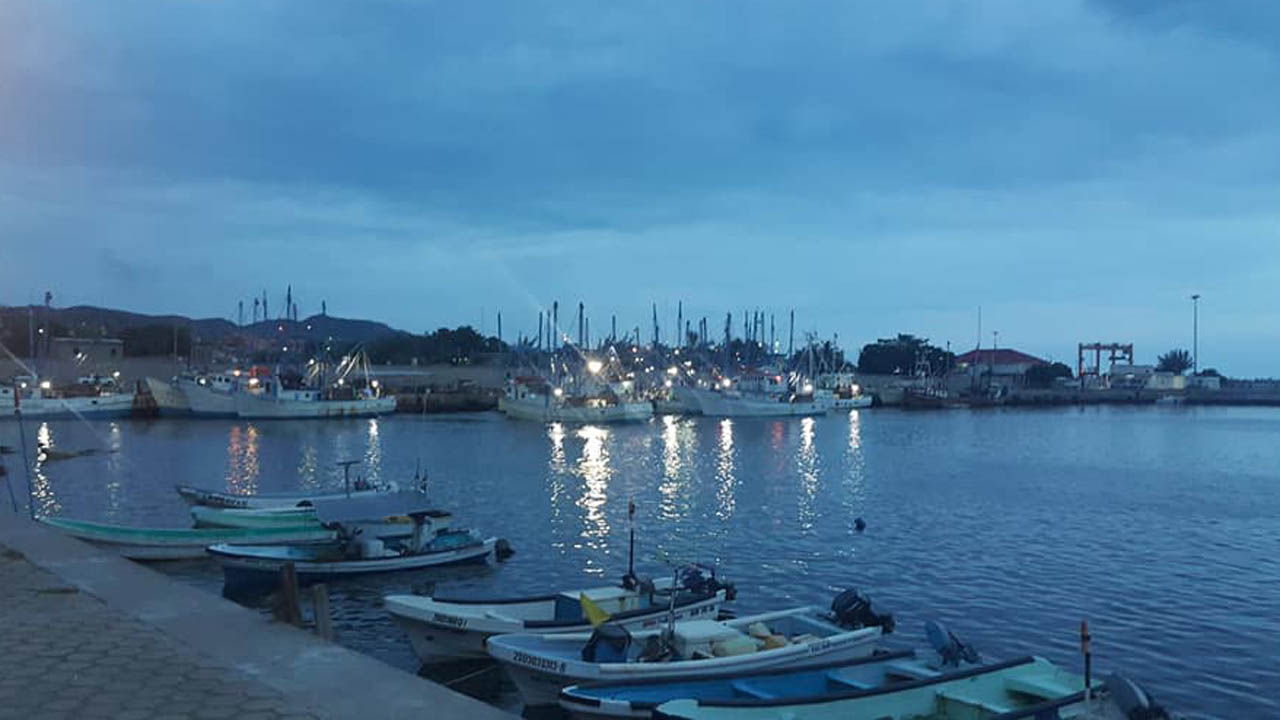 Remata pandemia a sector pesquero en Salina Cruz