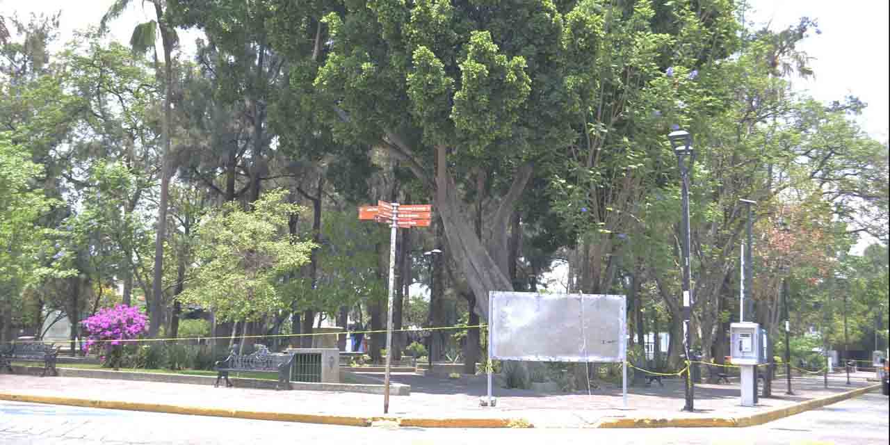 Atienden parques y jardineras de Oaxaca durante pandemia | El Imparcial de Oaxaca