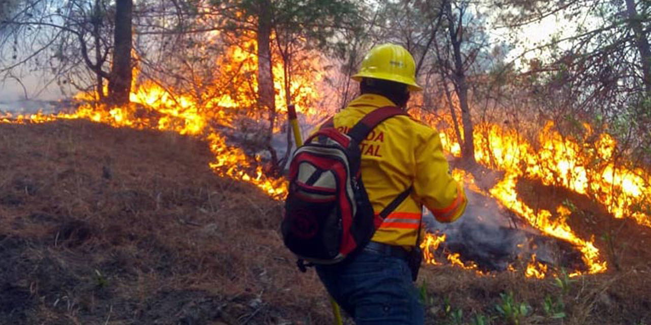 Se mantienen activos 4 incendios forestales en Oaxaca | El Imparcial de Oaxaca