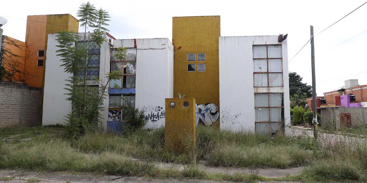Amparos, la vía más corta para defender parques eólicos en Oaxaca