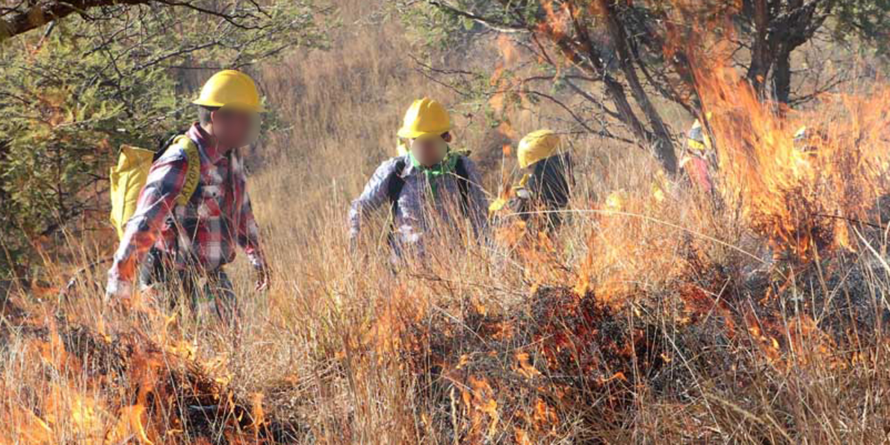 Más de 7 mil hectáreas afectadas por incendios forestales en Oaxaca | El Imparcial de Oaxaca