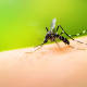 Disminuyen casos de dengue en Oaxaca