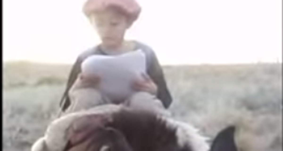 Video: Niño viaja en caballo hasta un cerro para conectarse a Internet y hacer sus tareas | El Imparcial de Oaxaca
