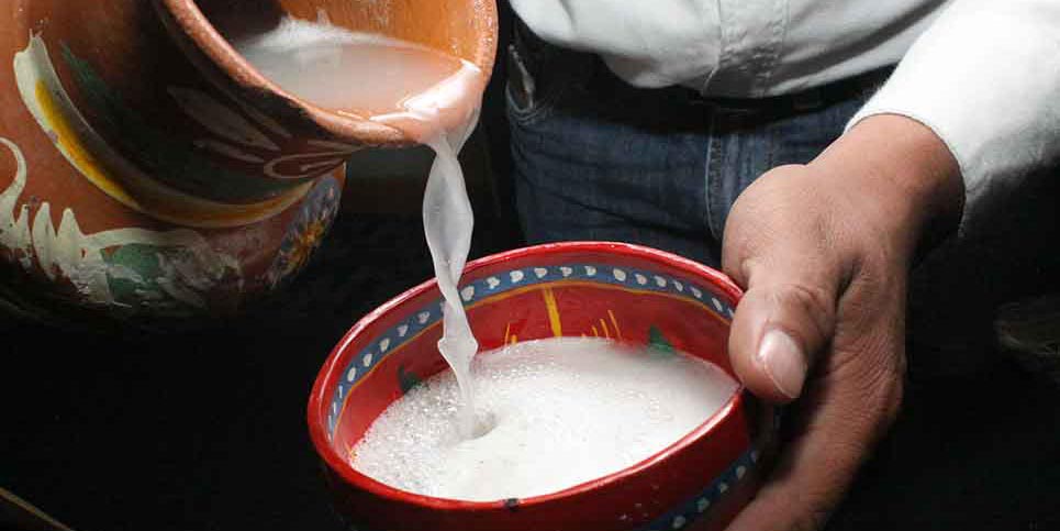 El pulque y su alto contenido de proteínas y vitaminas: UNAM
