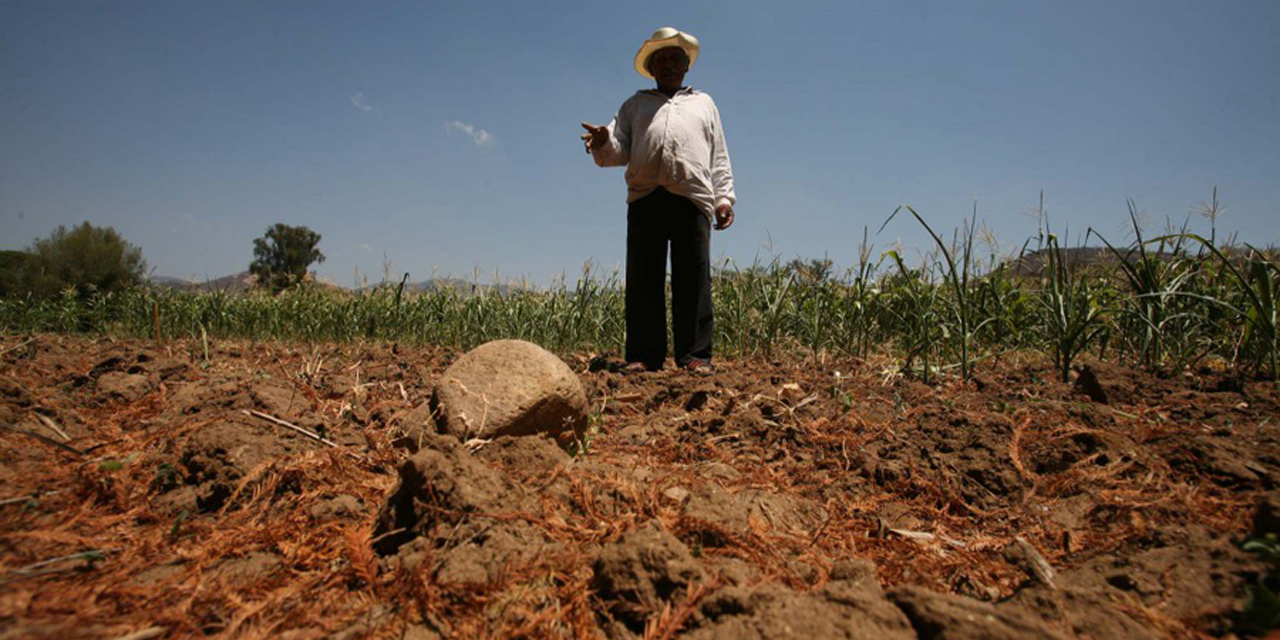 Sequía y desertificación imparables en Oaxaca | El Imparcial de Oaxaca