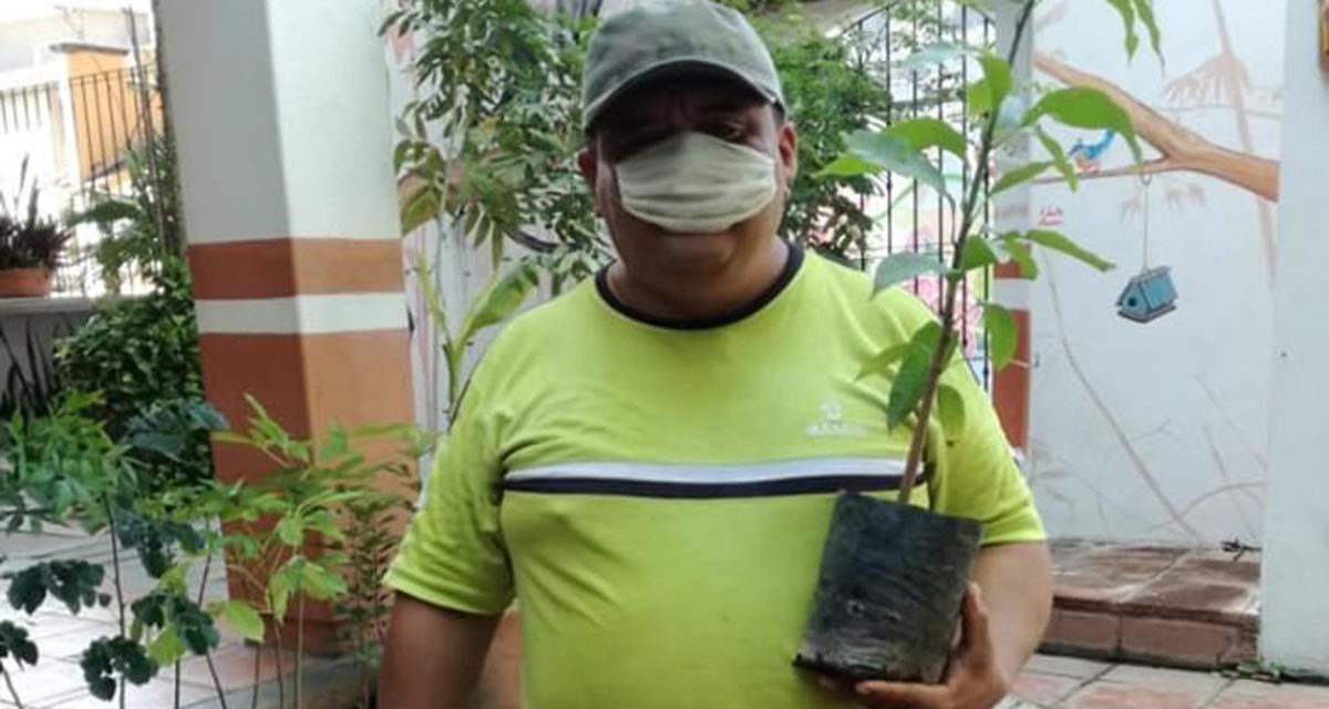 Regalan plantas para reforestar el Istmo de Oaxaca