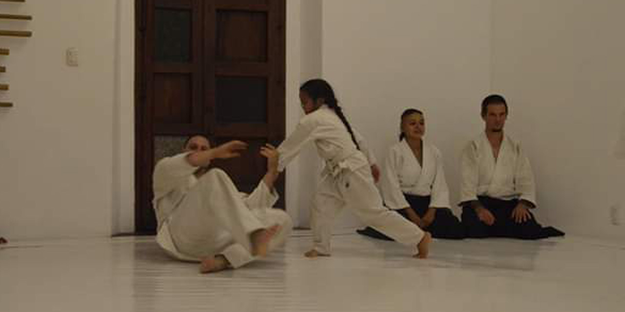 Sigue el plan para Seminario Nacional de Aikido | El Imparcial de Oaxaca