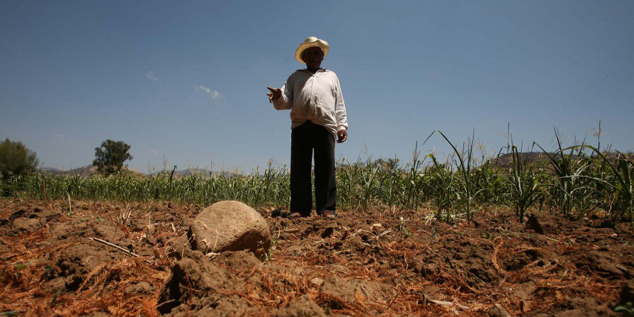 Altas temperaturas agravan la sequía | El Imparcial de Oaxaca
