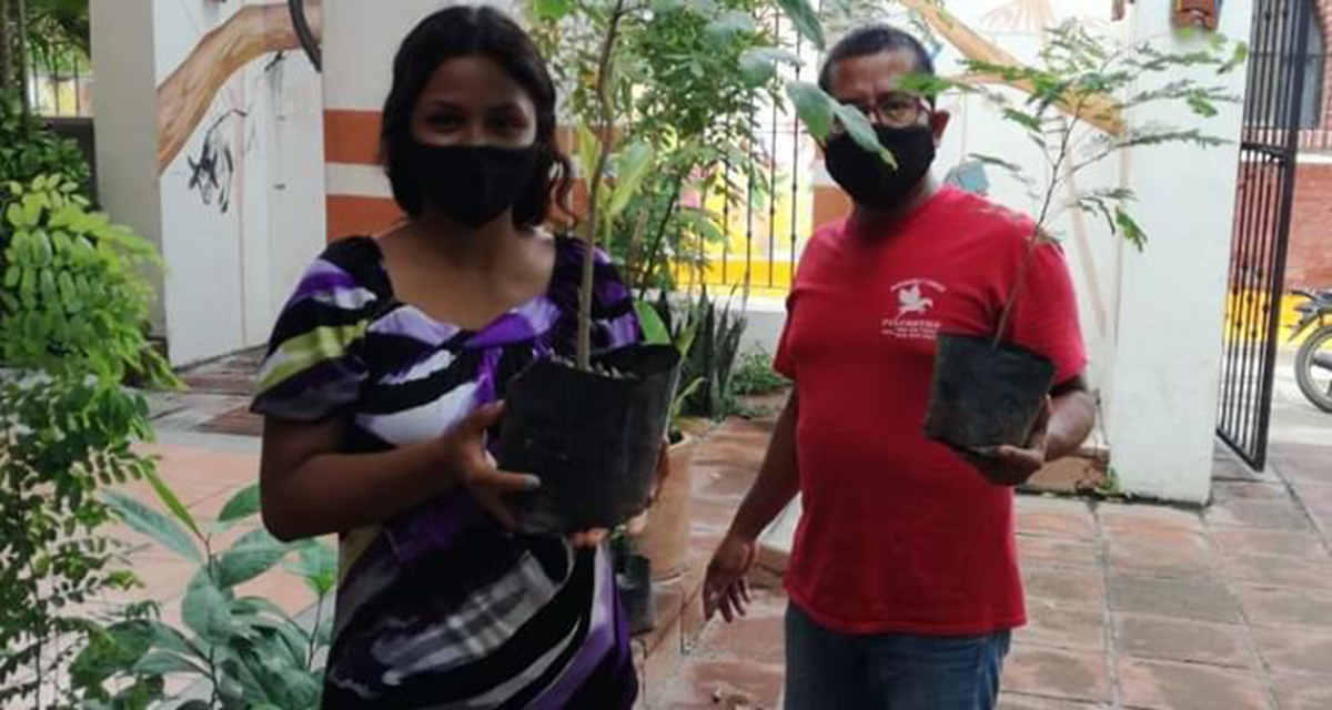 Regalan plantas para reforestar el Istmo de Oaxaca