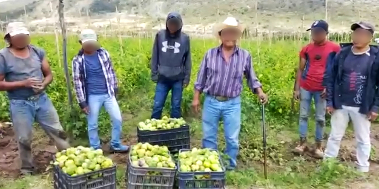 215 empresas oaxaqueñas cierran por Covid-19
