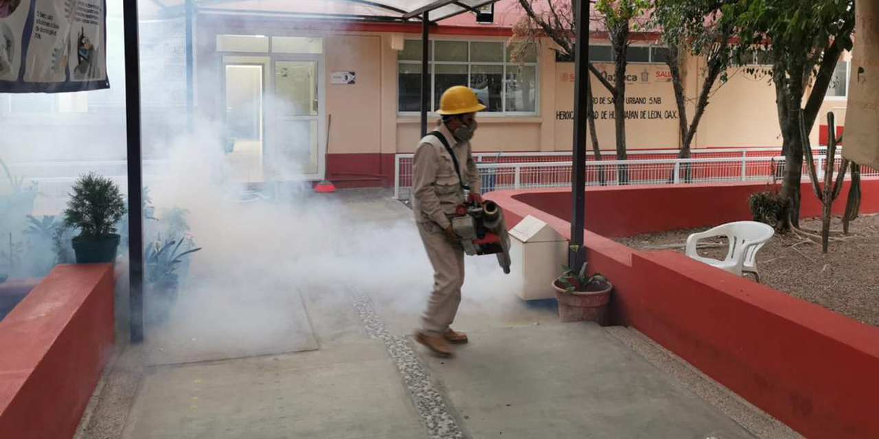 La Mixteca presenta zonas rojas por dengue | El Imparcial de Oaxaca
