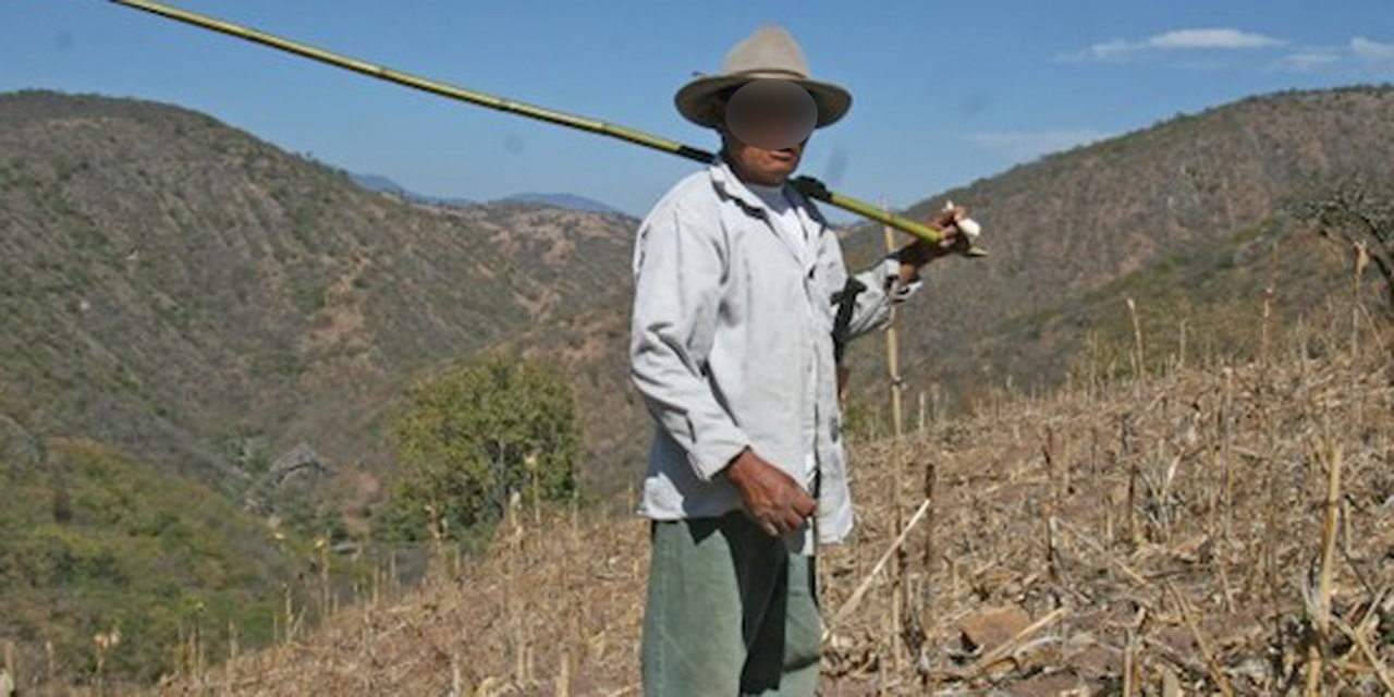 Urge soluciones a conflictos agrarios en Oaxaca | El Imparcial de Oaxaca