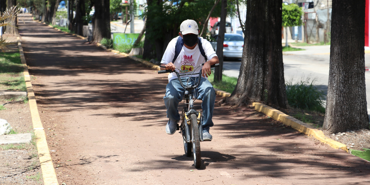 Ciclovías de Oaxaca, entre el descuido y riesgo para usuarios | El Imparcial de Oaxaca