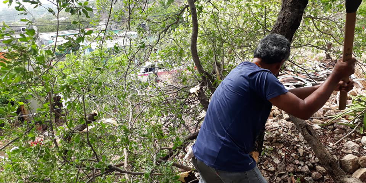 Denuncian ecocidio en Salina Cruz | El Imparcial de Oaxaca