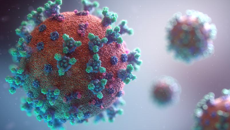 Hipótesis señala que coronavirus ha mutado y es 10 veces más infeccioso | El Imparcial de Oaxaca