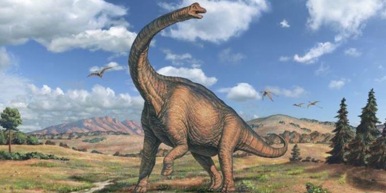 Científicos afirman que serán capaces de recrear a los dinosaurios | El  Imparcial de Oaxaca