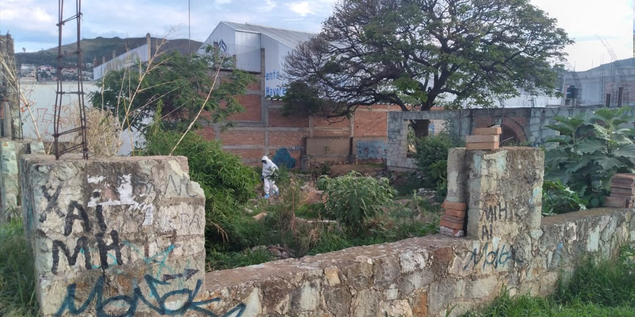 Encuentran cadáver en San Martín Mexicápam; era devorado por perros