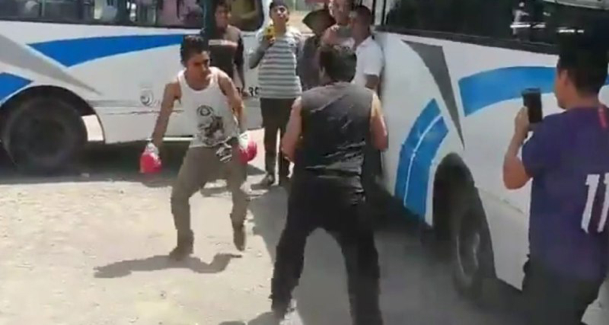Video: Chóferes de transporte público organizan peleas clandestinas de box | El Imparcial de Oaxaca