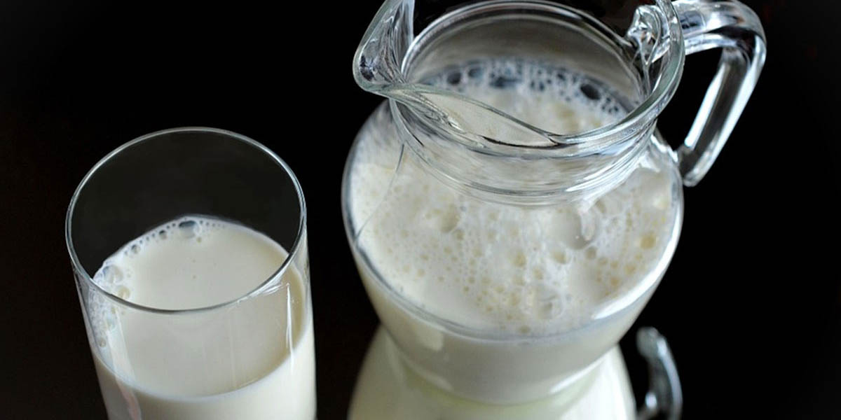 Beneficios de consumir leche | El Imparcial de Oaxaca